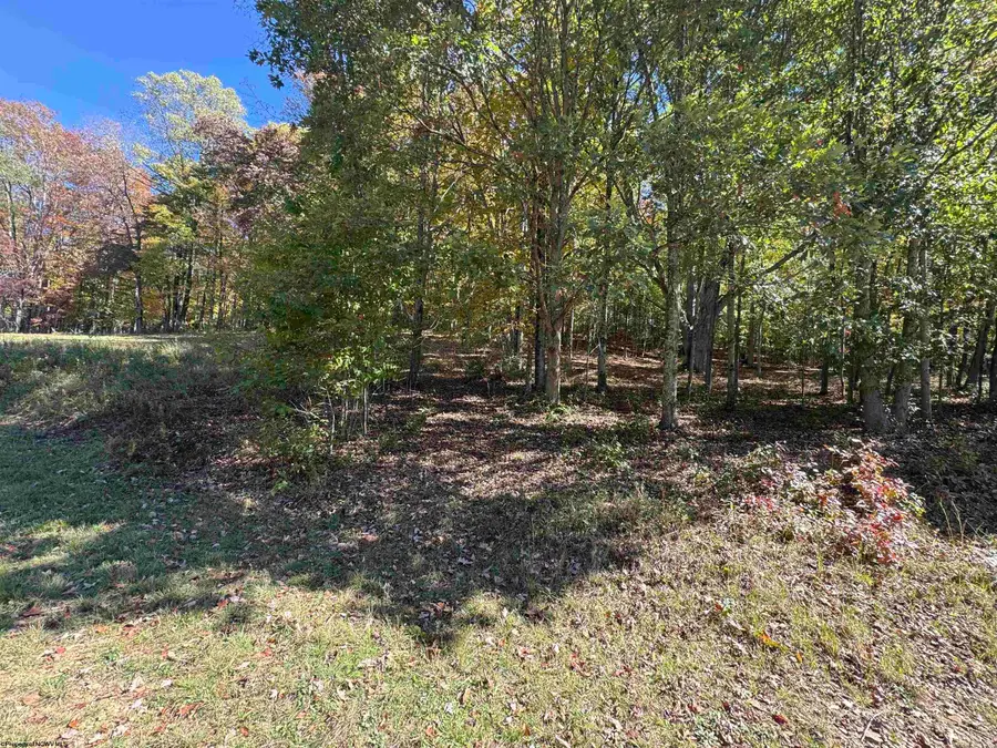 TRACT 3 ISNER Run, Elkins, WV 26241 - Image #3