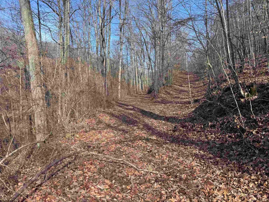 TBD Stone Pot Road, Weston, WV 26452 - Image #3