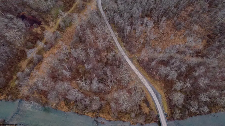 TBD Wirsing Wiley Road, Bruceton Mills, WV 26525 - Image #2