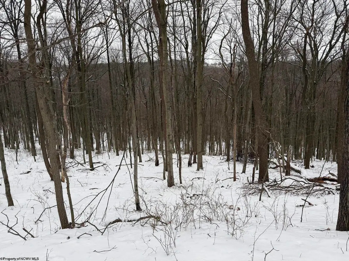 0 Eastwood Lane, Morgantown, WV 26508 - #1