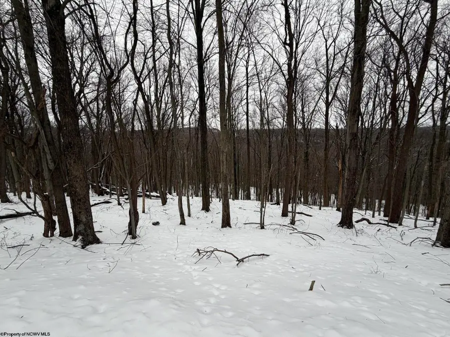 0 Eastwood Lane, Morgantown, WV 26508 - #2