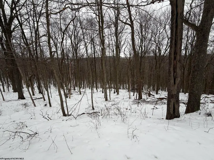 0 Eastwood Lane, Morgantown, WV 26508 - #3
