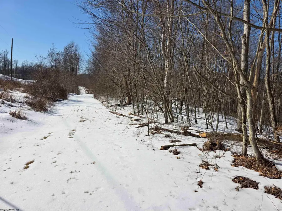 Lot 17,18 &19 Poplar Drive, Grafton, WV 26354 - #2