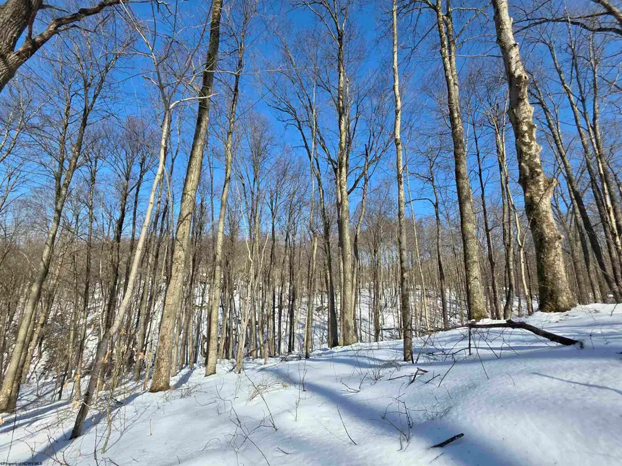 Lot 17,18 &19 Poplar Drive, Grafton, WV 26354 - #3