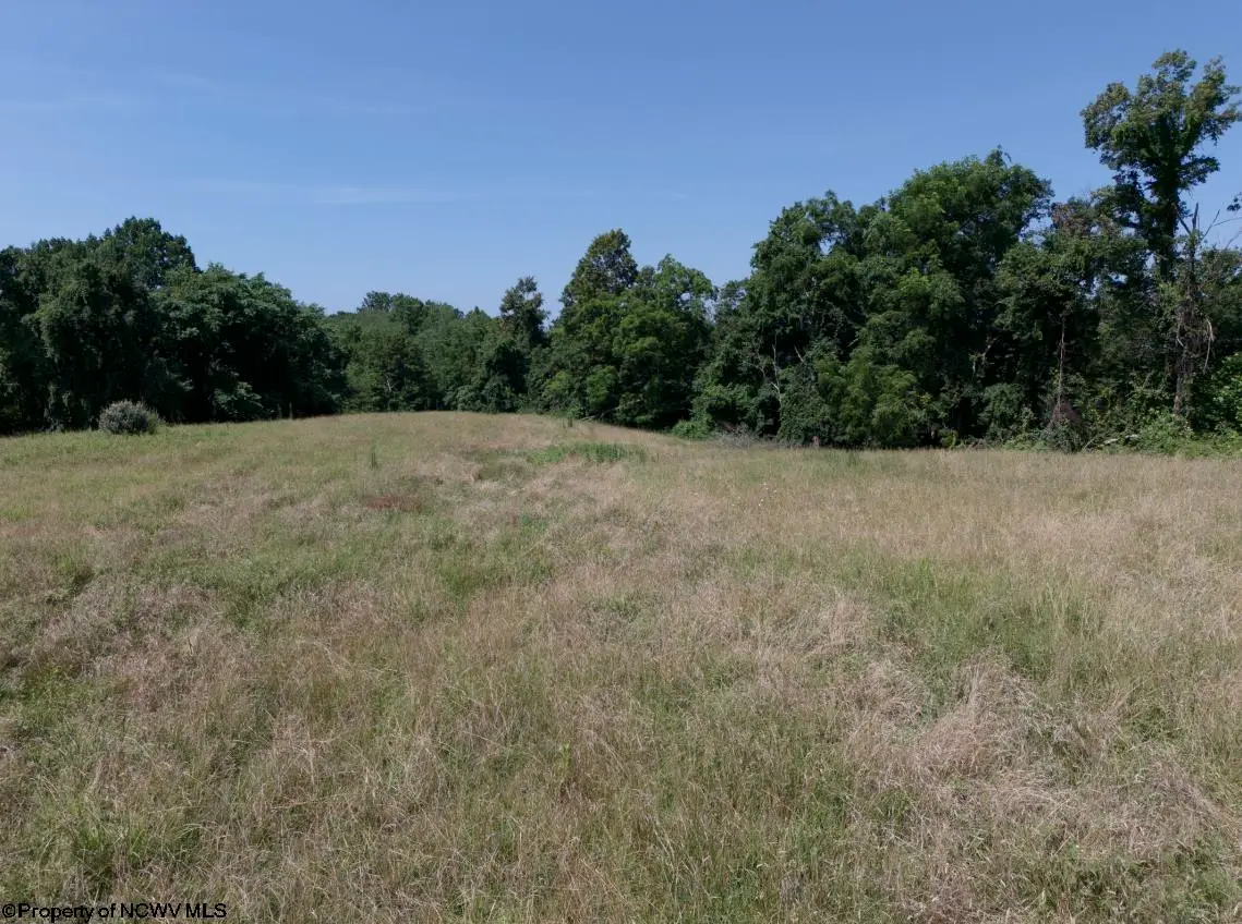 TBD Bosser Road, Grafton, WV 26354 - #1