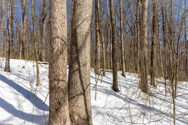 Lot 1 Cales Road, Masontown, WV 26542