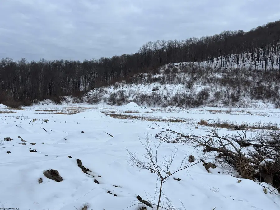 TBD Route 98 (RR), Nutter Fort, WV 26301-4360 - #2