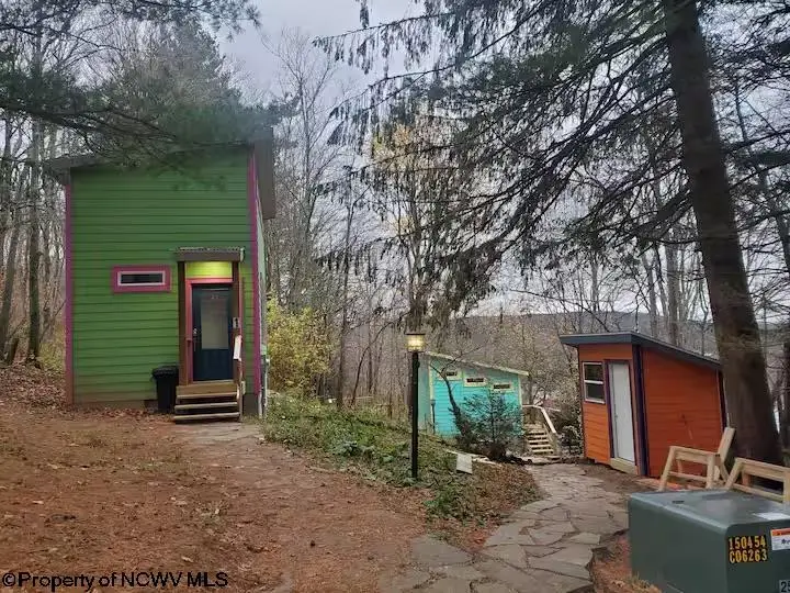 142 Jacob Pace Street, Thomas, WV 26292 - #1