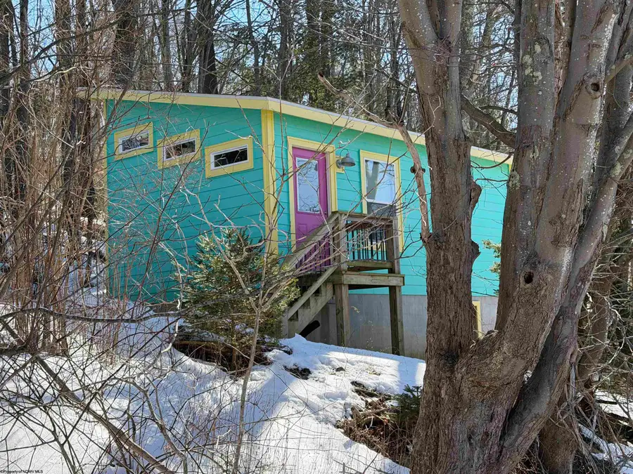 142 Jacob Pace Street, Thomas, WV 26292 - #2