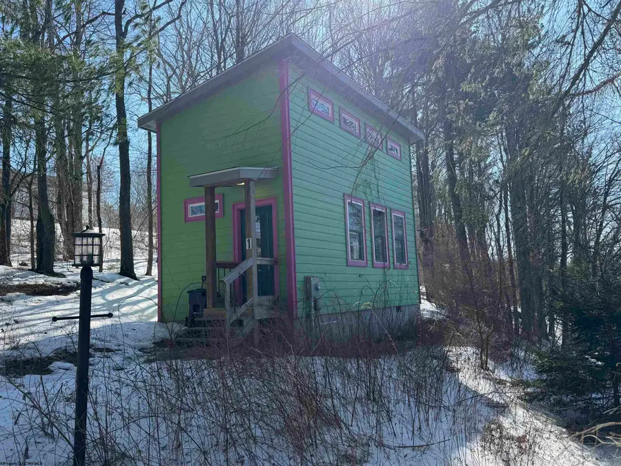 142 Jacob Pace Street, Thomas, WV 26292 - #3