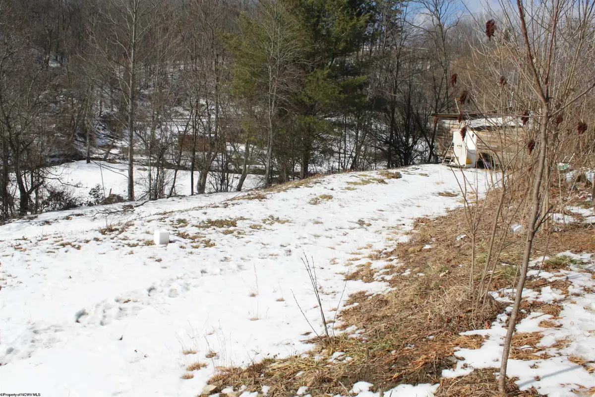 190 Coon Creek Road, Camden On Gauley, WV 26208 - #1