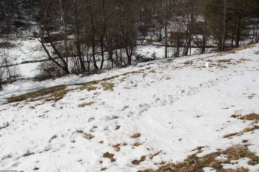 190 Coon Creek Road, Camden On Gauley, WV 26208 - #3