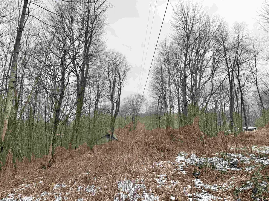 108 Kennedy Road, Moatsville, WV 26405 - #2