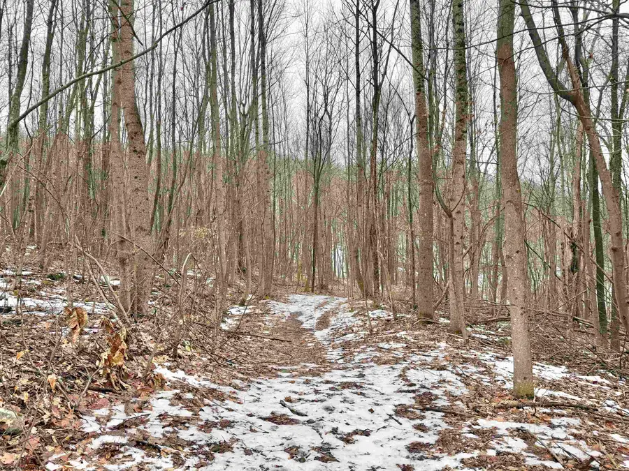 108 Kennedy Road, Moatsville, WV 26405 - #3