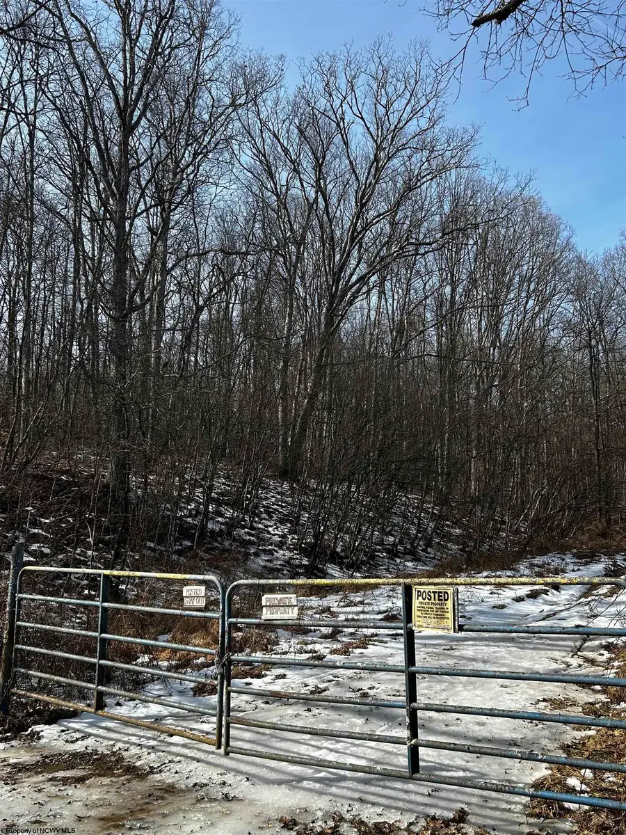 92 Coyote Lane, Belington, WV 26250 - #2