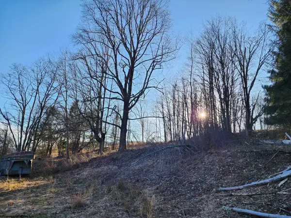 169 Wilma Lee Memorial Drive, Bowden, WV 26254