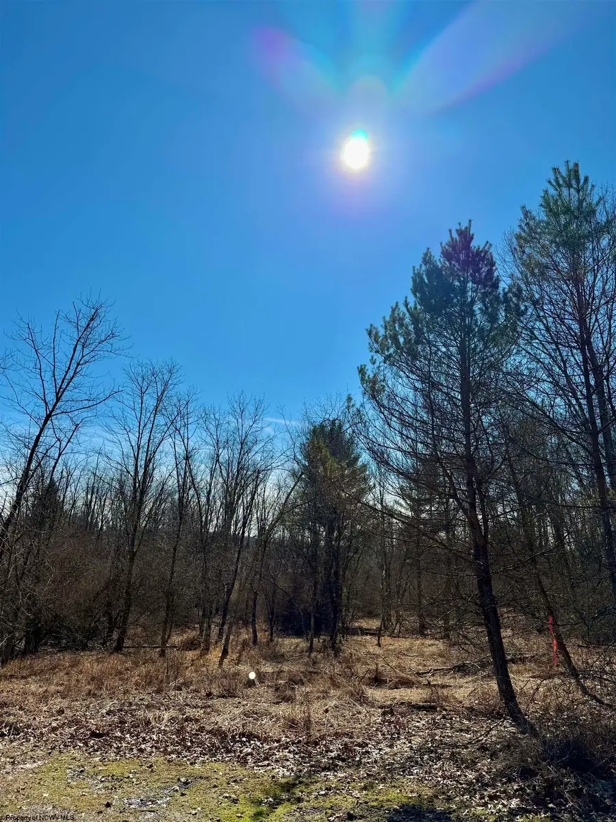 TBD Pearcy Avenue, Bridgeport, WV 26330 - #2