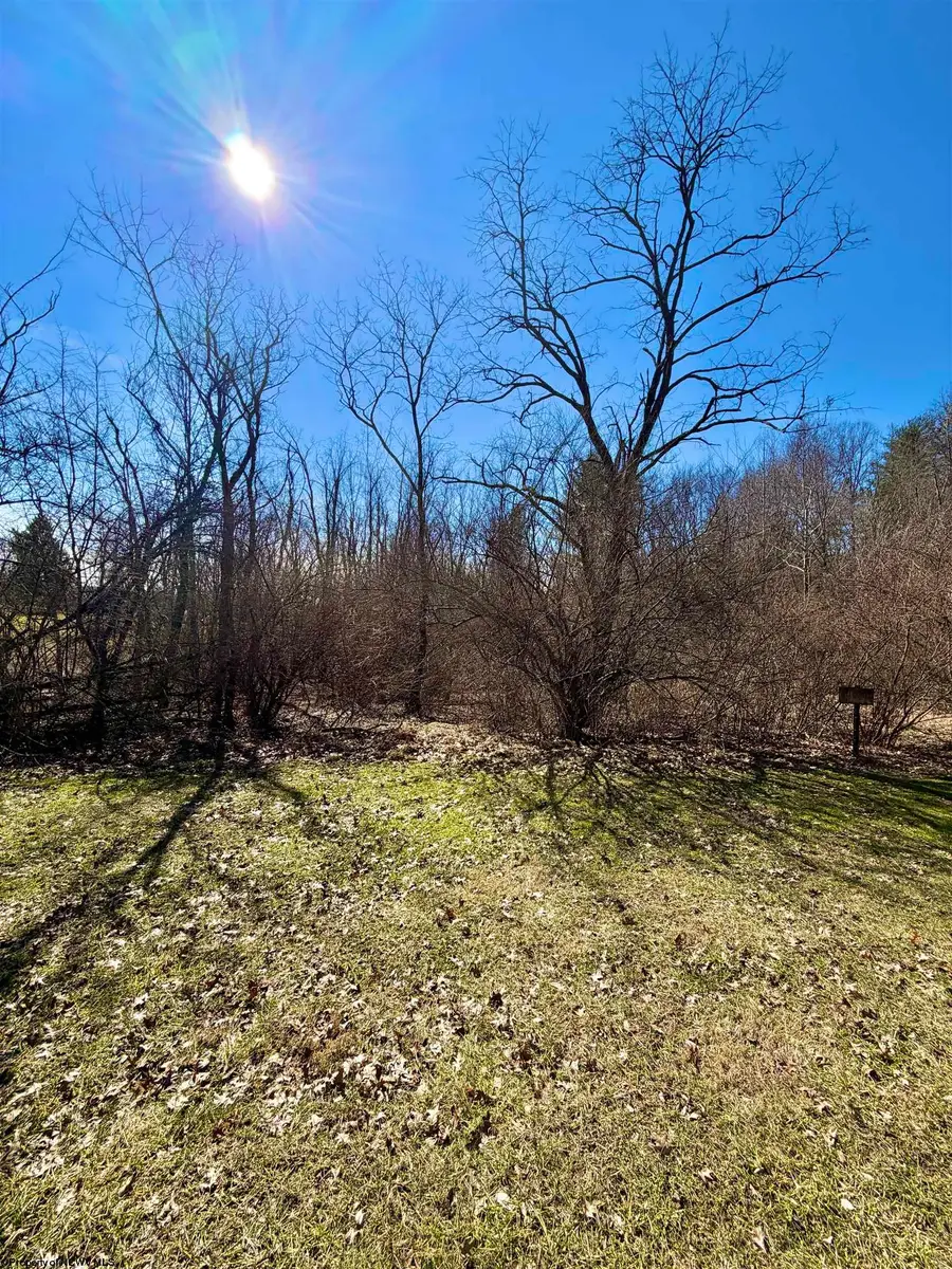 TBD Pearcy Avenue, Bridgeport, WV 26330 - #3