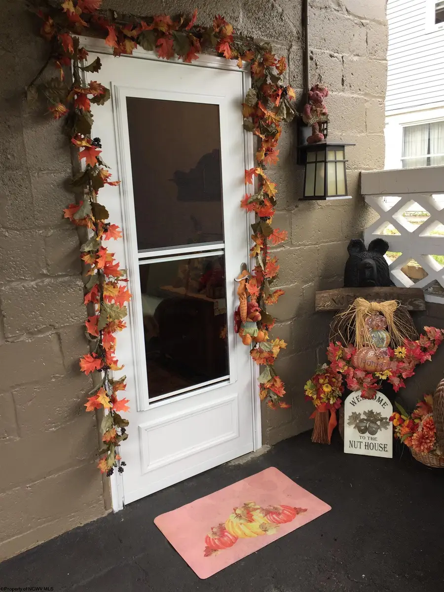 1117 Fleming Avenue, Fairmont, WV 26554 - #3