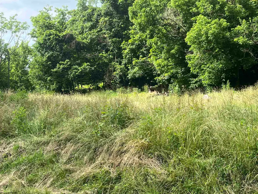 7337 Old Mill Road, Jane Lew, WV 26378 - #2