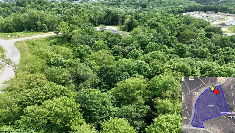 Lot 1 The Vale Road, Bridgeport, WV 26330 - #2