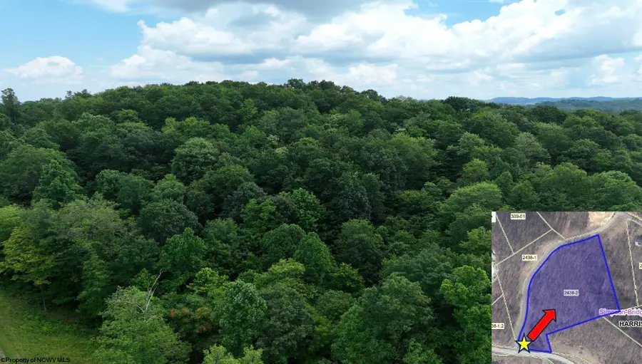 Lot 1 The Vale Road, Bridgeport, WV 26330 - #3