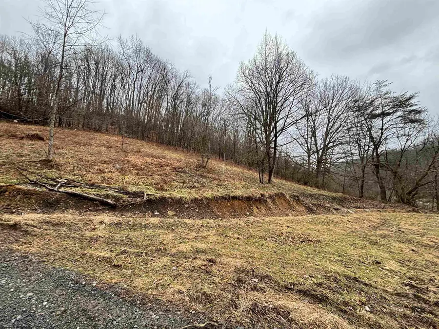 10470 Morgantown Pike, Philippi, WV 26416 - #3