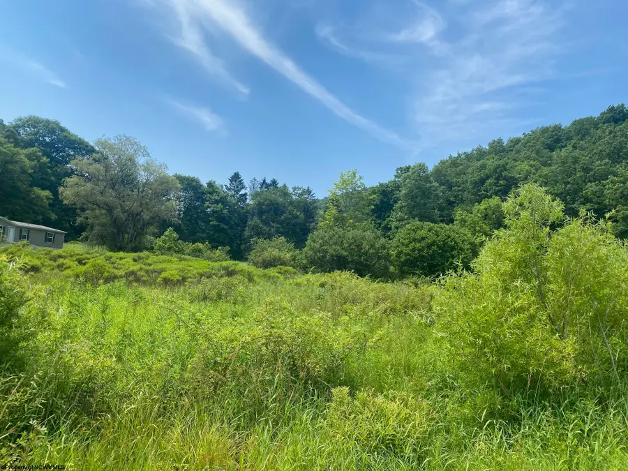 TBD Grass Lick Run, Montrose, WV 26283 - #2