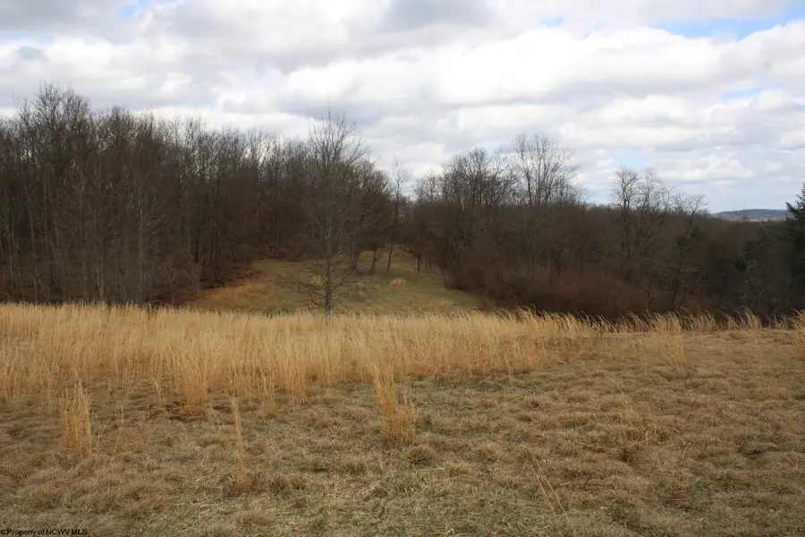 Lot 11 Cascade Ridge, Masontown, WV 26542 - #2