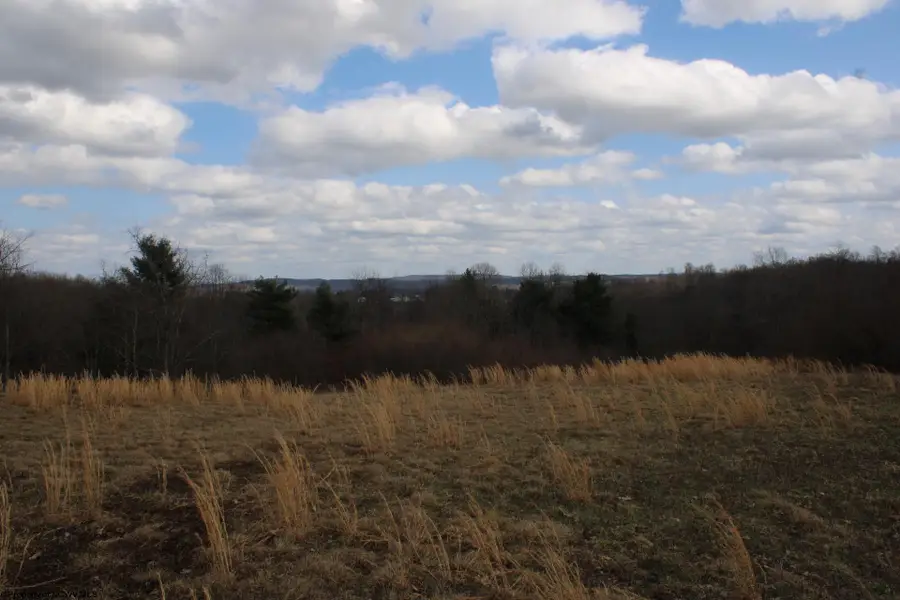 Lot 10 Cascade Ridge, Masontown, WV 26542 - #2