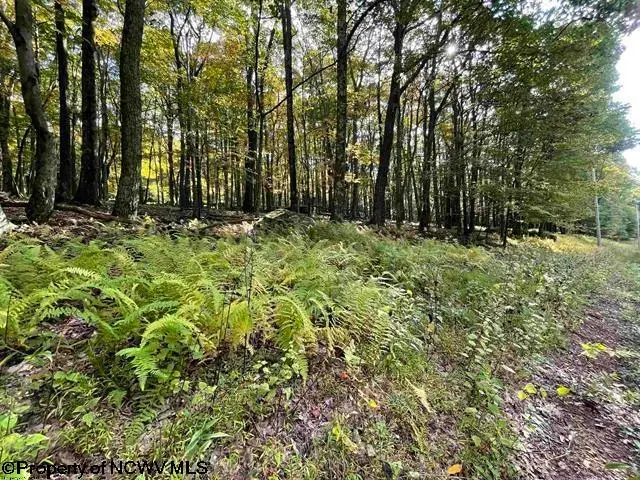 Lots 40 and 41 E. Alpine Drive, Terra Alta, WV 26764 - #2