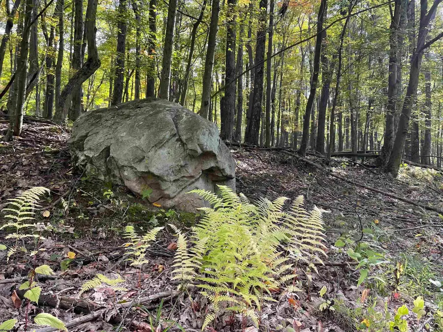 Lots 40 and 41 E. Alpine Drive, Terra Alta, WV 26764 - #3