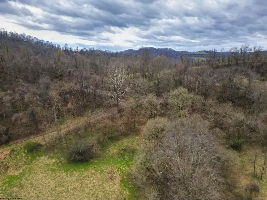 596 Purdy Run Road, Shinnston, WV 26431 - #2