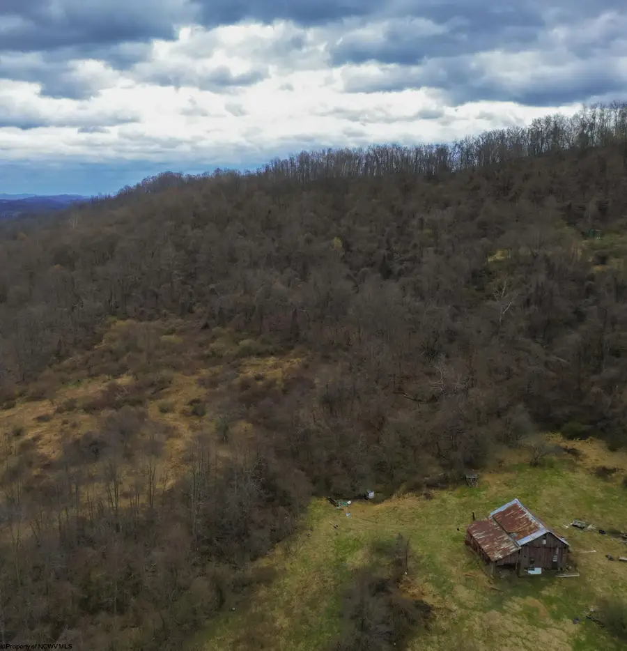 596 Purdy Run Road, Shinnston, WV 26431 - #3