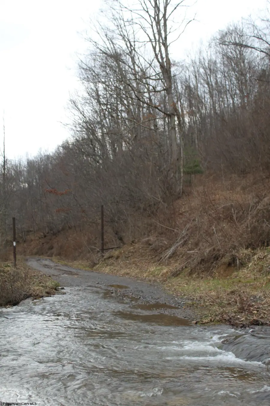 1155 Price Run Road, Webster Springs, WV 26288 - #3