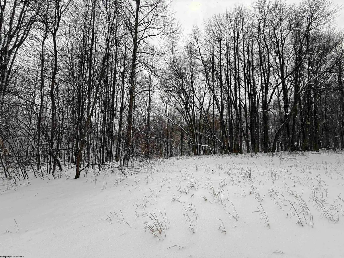 TBD Silver Oak Lane, Belington, WV 26250 - #1