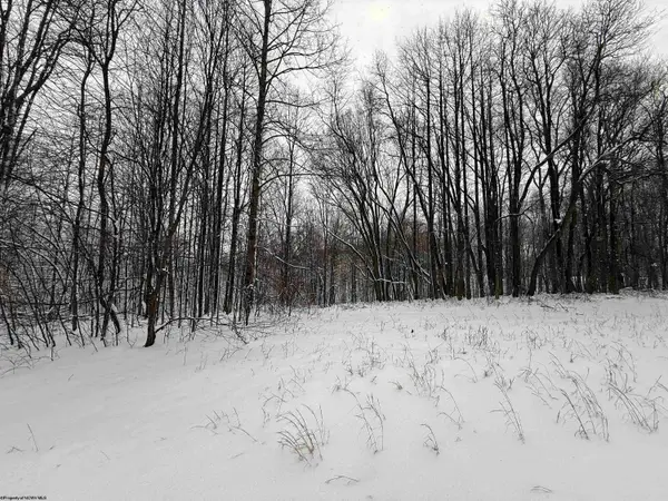 TBD Silver Oak Lane, Belington, WV 26250