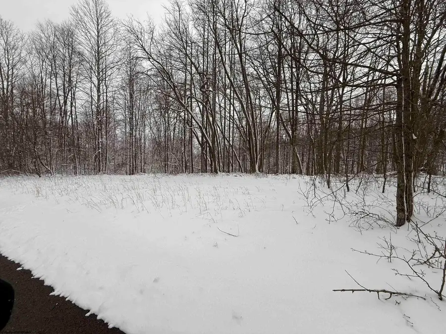 TBD Silver Oak Lane, Belington, WV 26250 - #3