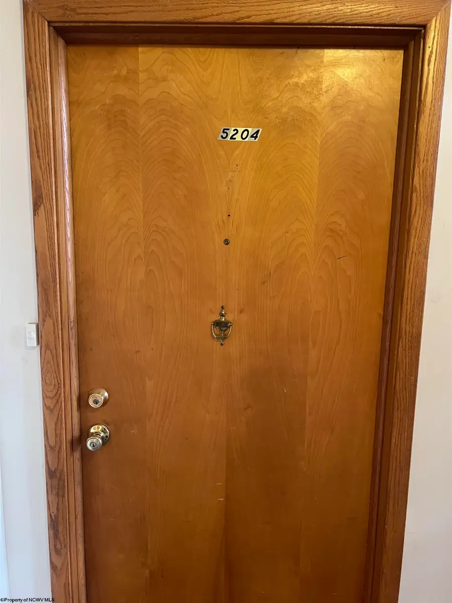 5204 Mountain View Manor, Morgantown, WV 26501 - #3