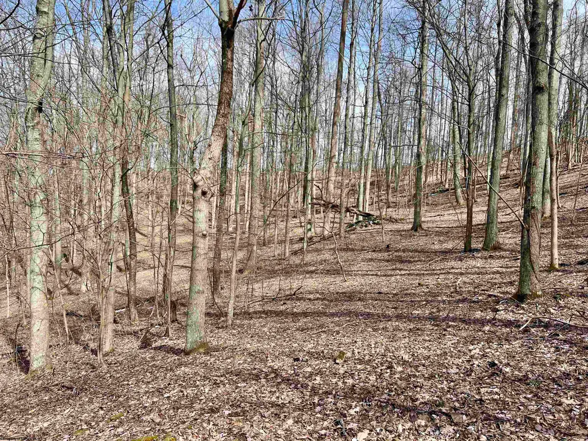 1251 County Highway 40-11 Road, Duck, WV 25063 - #1