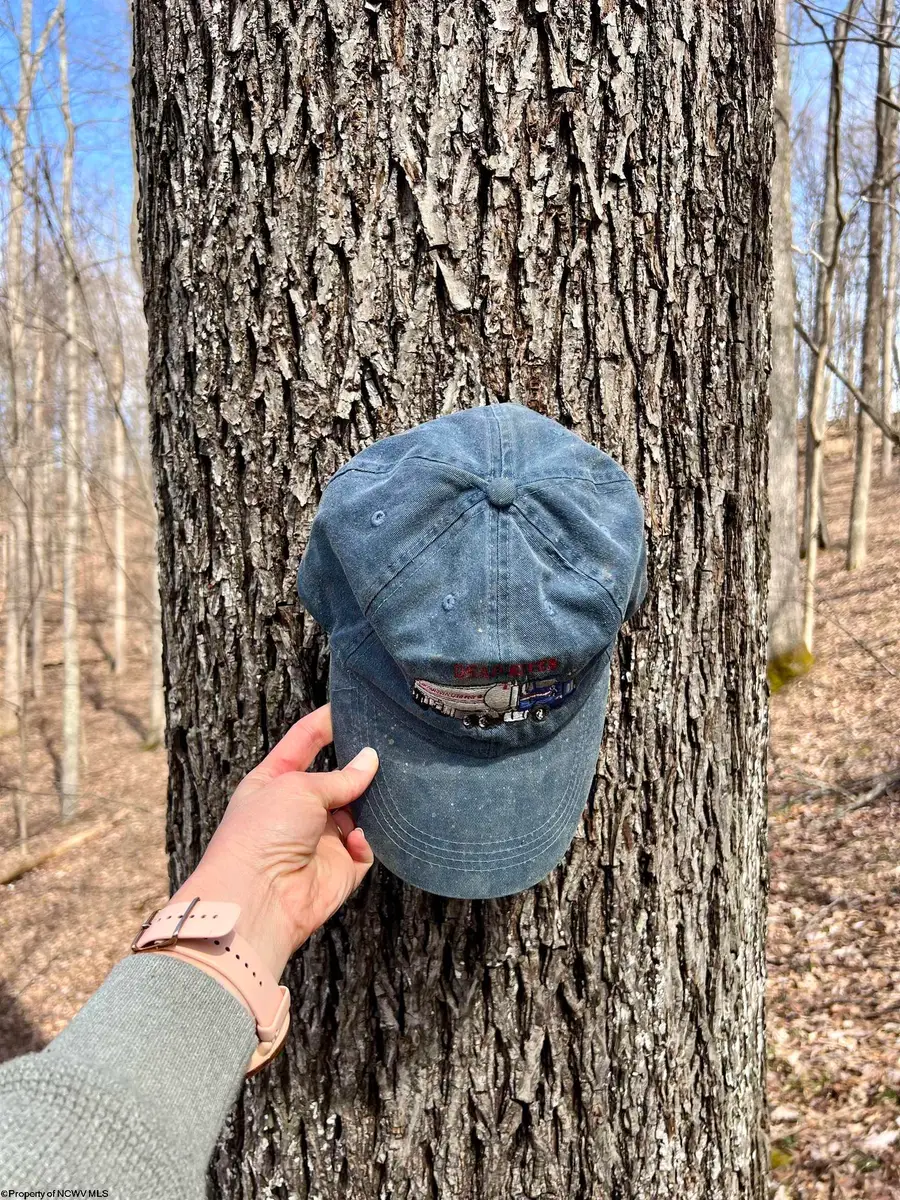 1251 County Highway 40-11 Road, Duck, WV 25063 - #2