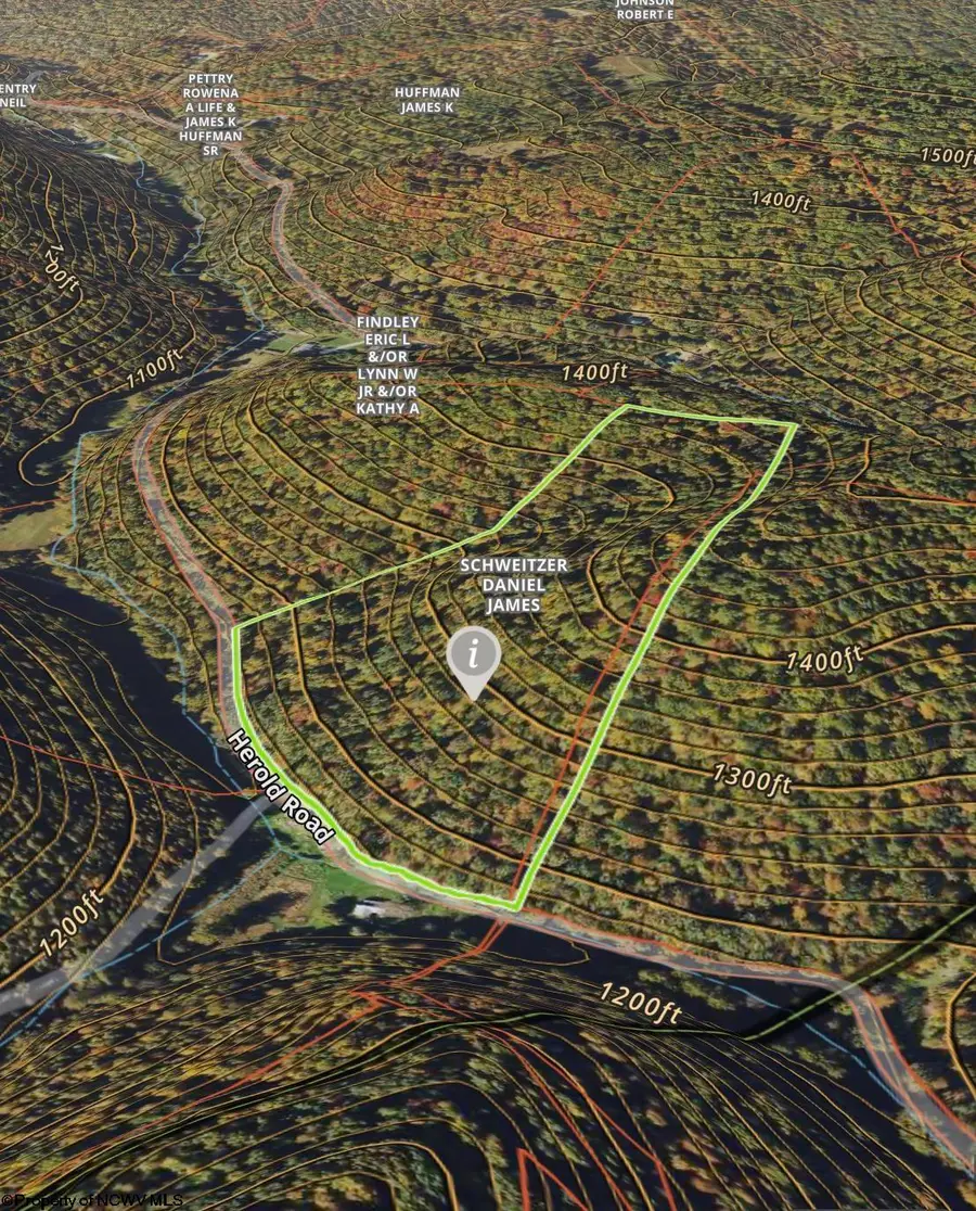 1251 County Highway 40-11 Road, Duck, WV 25063 - #3