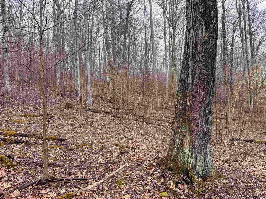 Lot 1 Red Rock Road, Rowlesburg, WV 26425 - #3