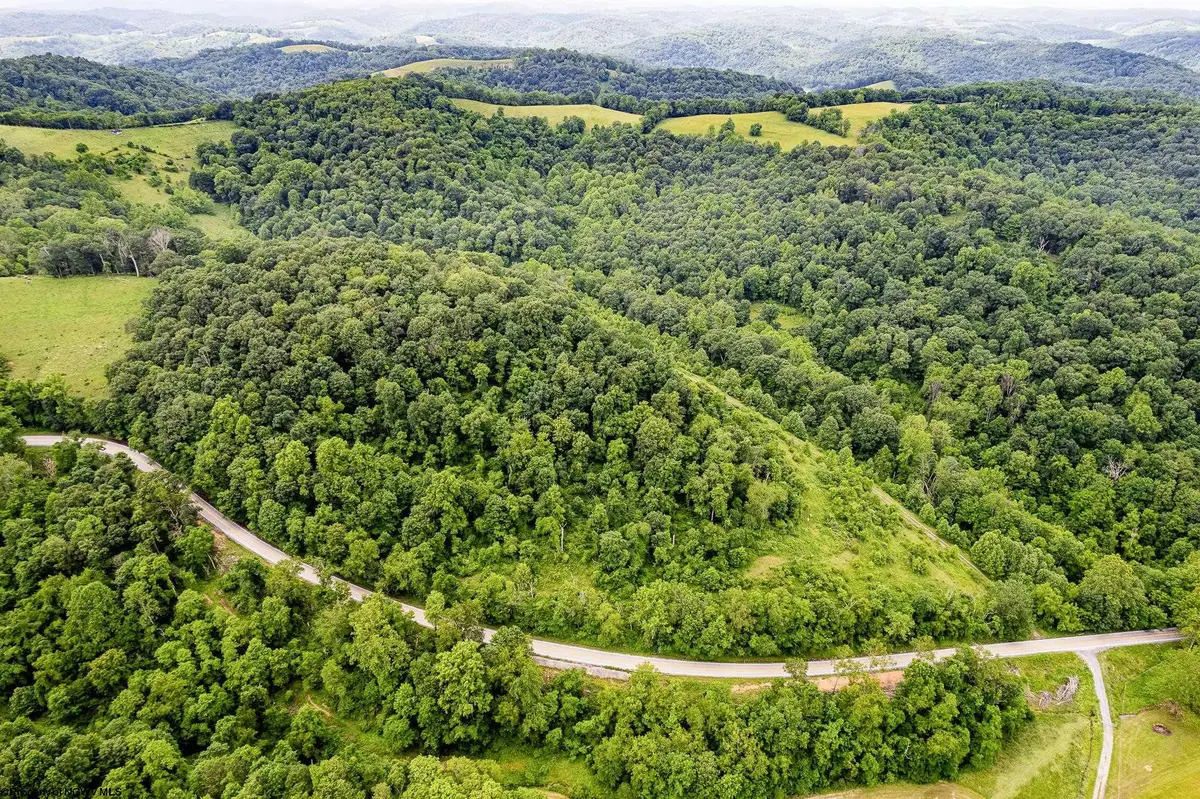 TBD Daybrook Road, Fairview, WV 26570 - #1