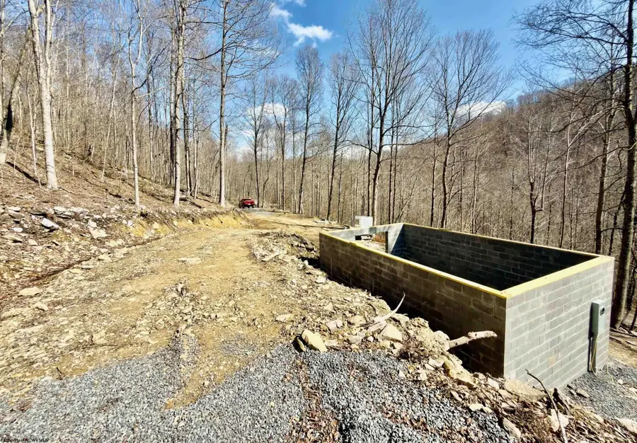 Lot 10 Brooklyn Way, Moatsville, WV 26405 - #3