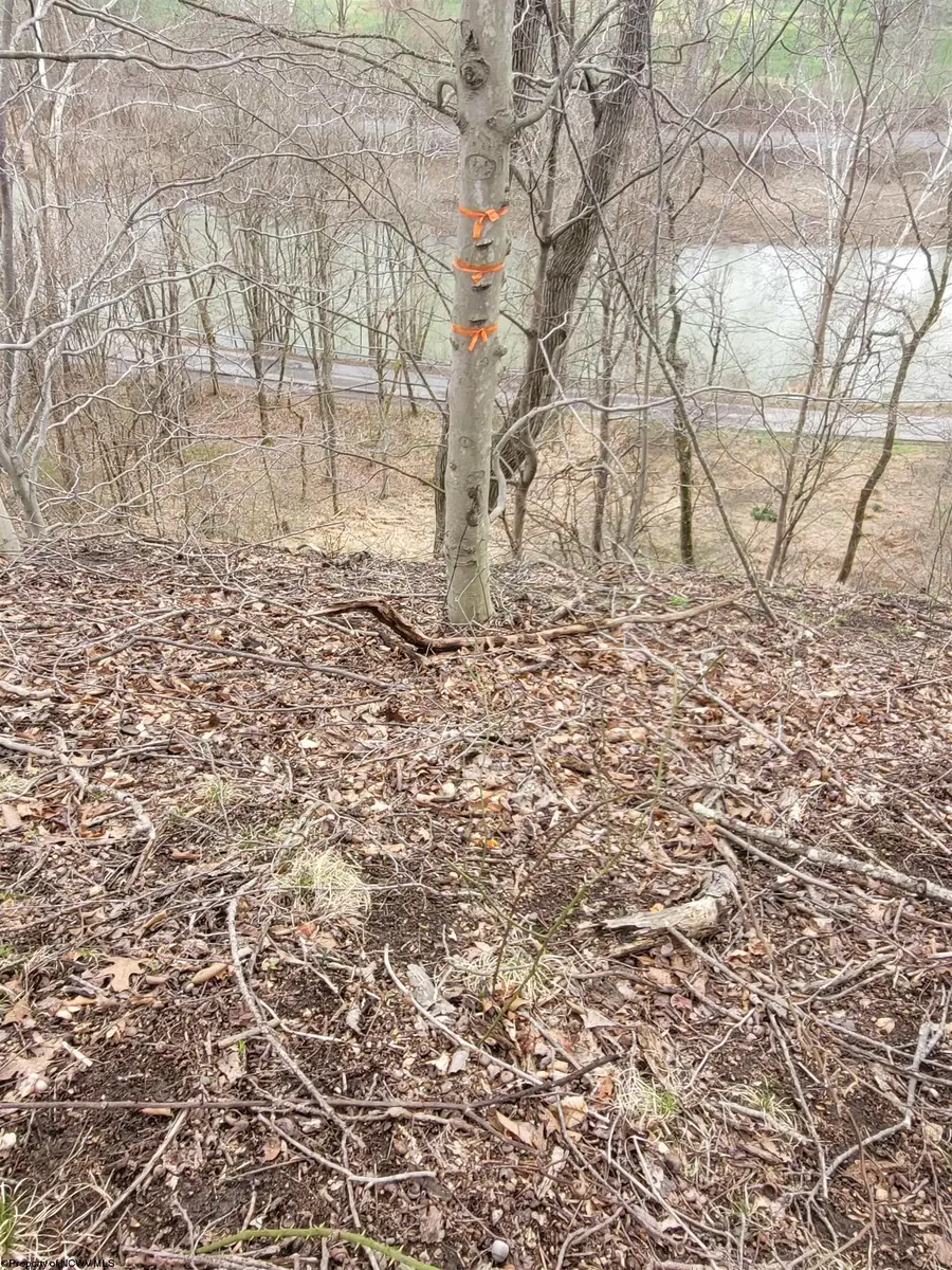 00 Trolley Car Road, Clarksburg, WV 26301 - #3