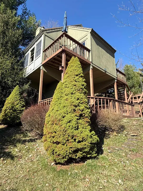 21 Bear Lair Lane, Davis, WV 26260