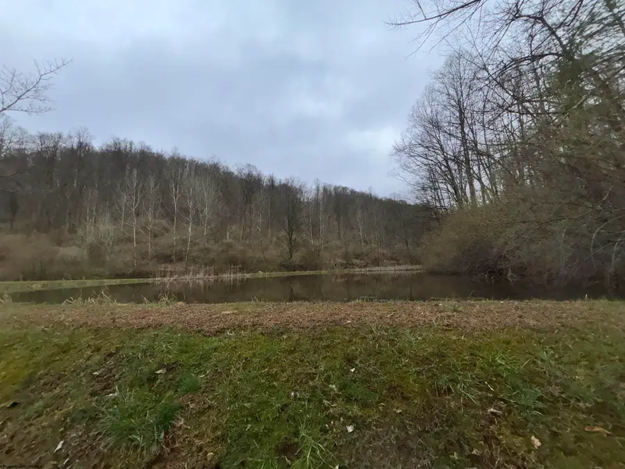 1058 Bean Hollow, West Union, WV 26456 - #3