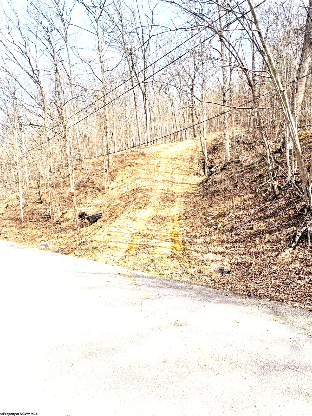 tbd Pine Grove Road, Fairmont, WV 26554 - #1