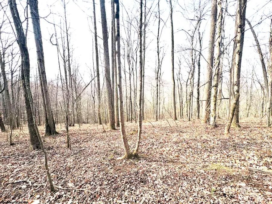 tbd Pine Grove Road, Fairmont, WV 26554 - #3